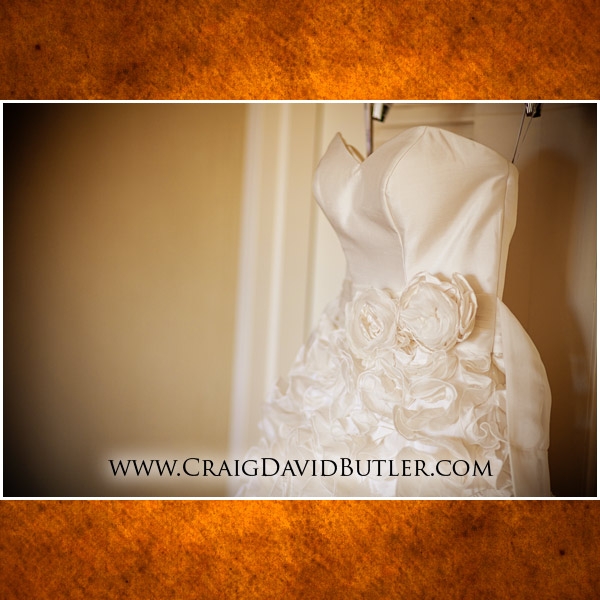 -Michigan Wedding Pictures, Craig David Butler Studios, Novi Wedding