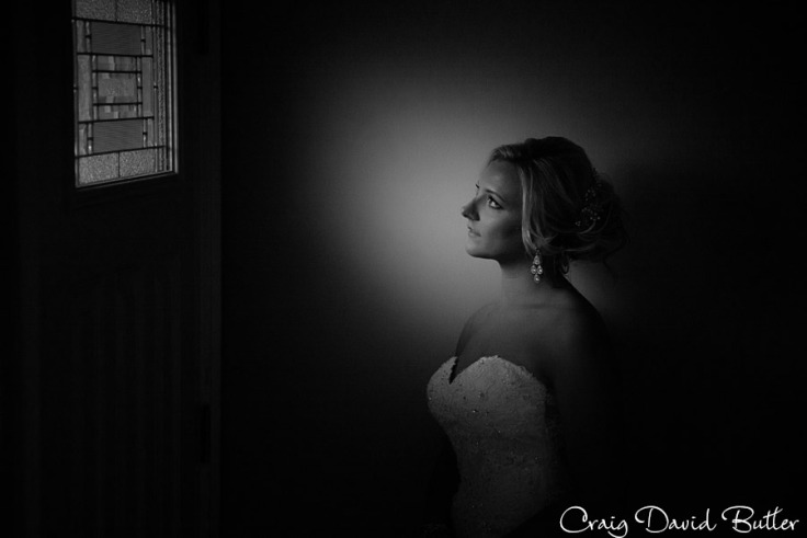 Detroit-Wedding-Photos-GrecianCenter-CraigDavidButler1019