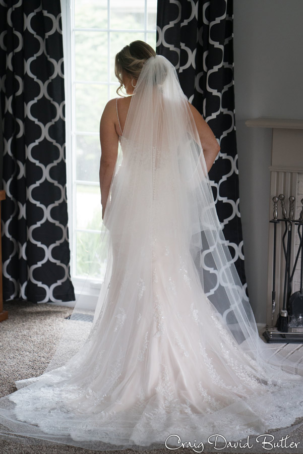 Back of the wedding dress